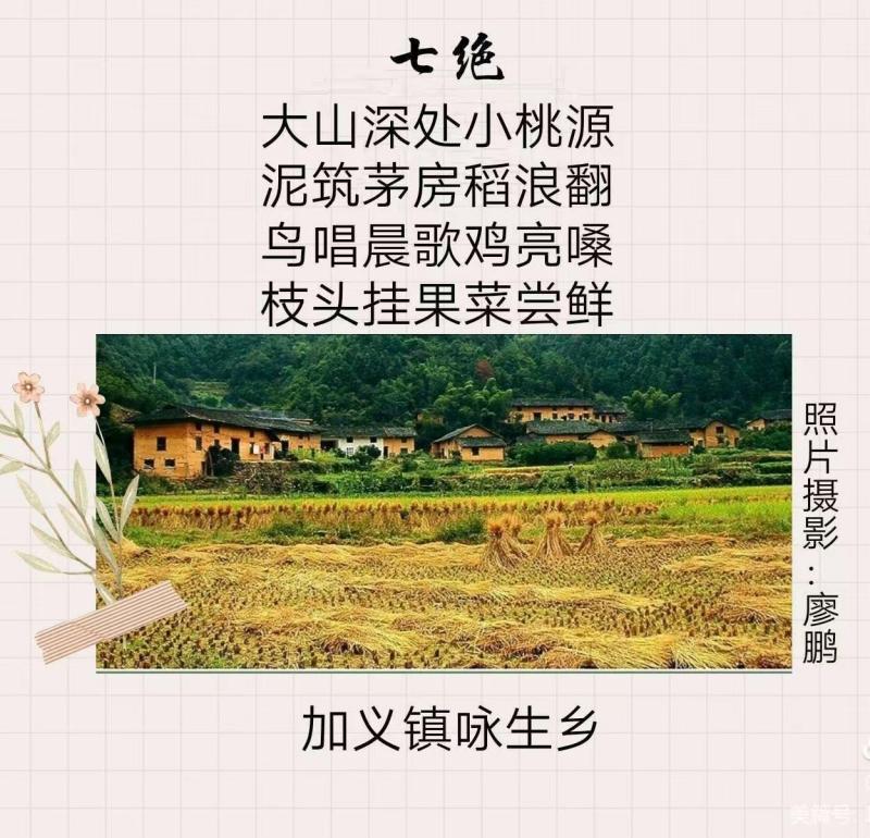 b2a5d1630a4058ebe7571e1cdb9f53f.jpg