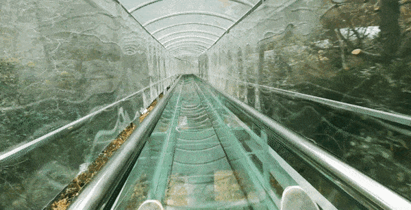 b10.gif