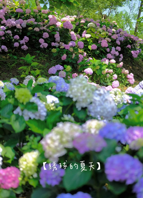 啊60.png