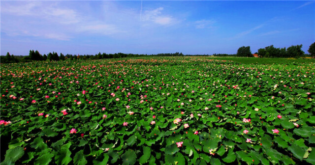 《五古赋临湘》