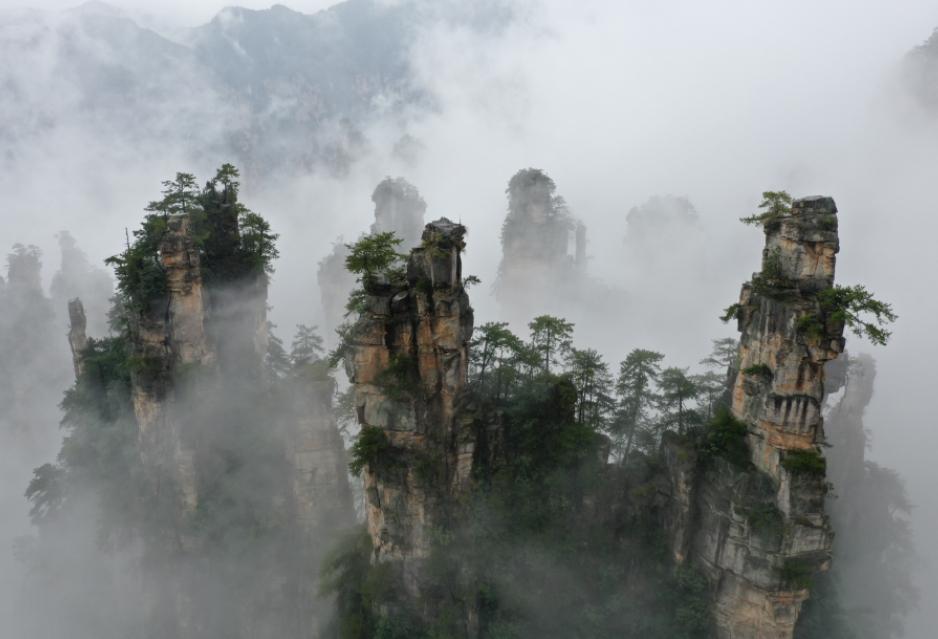 微信截图_20240423105516.png